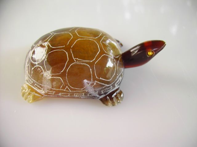 Petite tortue (modle 2)